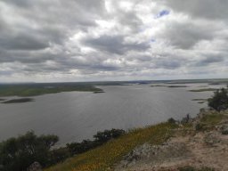 Flora del Cerro Masatrigo
